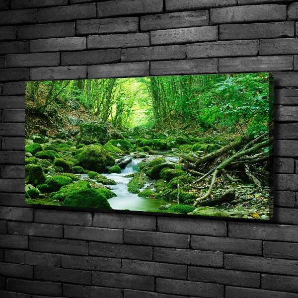 Cuadro canvas con impresión uv duradera horizontal Un arroyo en el bosque
