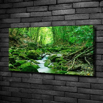 Cuadro canvas con impresión uv duradera horizontal Un arroyo en el bosque