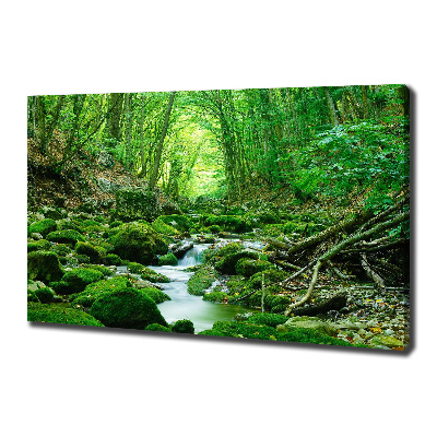 Cuadro canvas con impresión uv duradera horizontal Un arroyo en el bosque