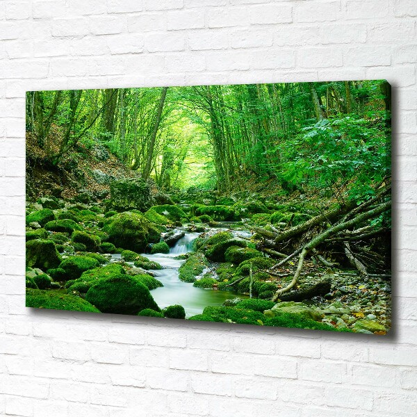 Cuadro canvas con impresión uv duradera horizontal Un arroyo en el bosque