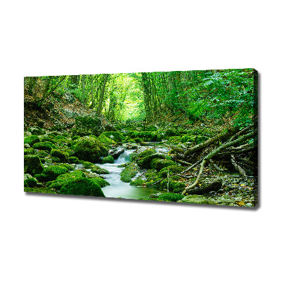 Cuadro canvas con impresión uv duradera horizontal Un arroyo en el bosque