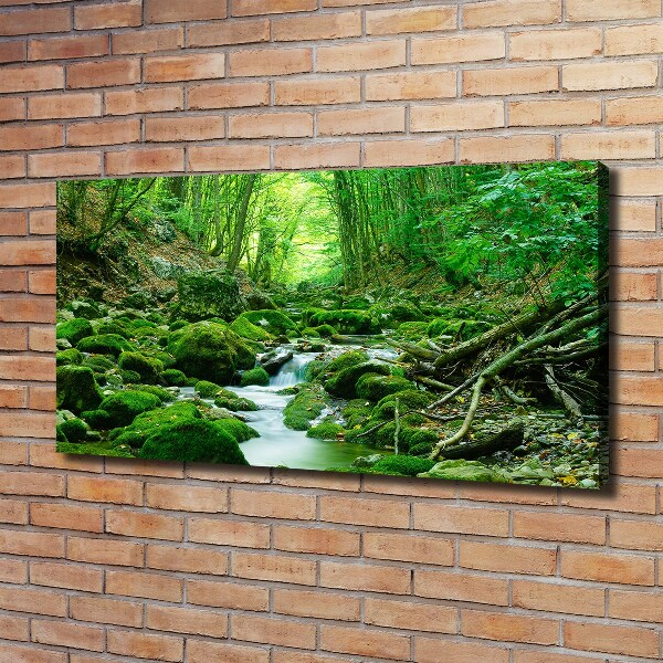 Cuadro canvas con impresión uv duradera horizontal Un arroyo en el bosque