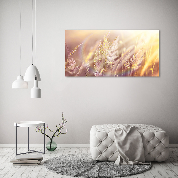 Cuadro canvas moderno de gran formato horizontal Hierba alta
