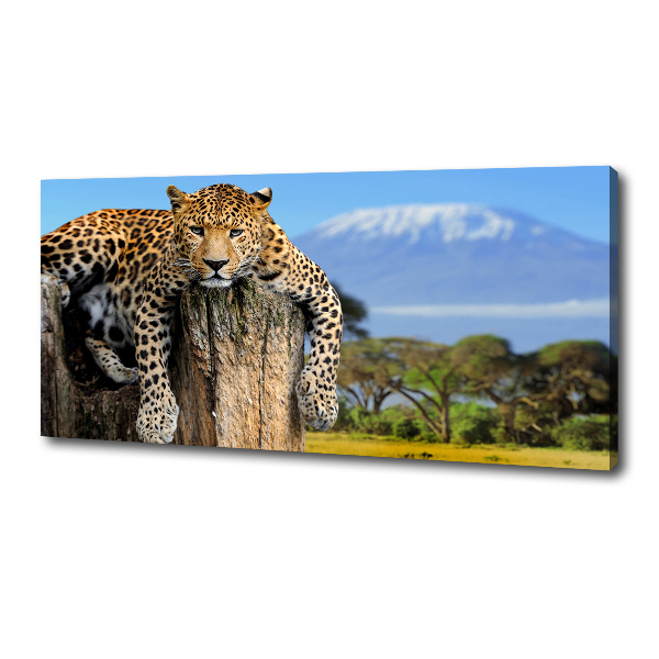 Cuadro canvas con impresión uv duradera horizontal Leopardo en un tocón de árbol