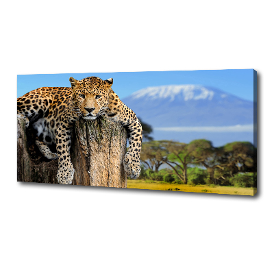Cuadro canvas con impresión uv duradera horizontal Leopardo en un tocón de árbol