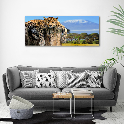 Cuadro canvas con impresión uv duradera horizontal Leopardo en un tocón de árbol