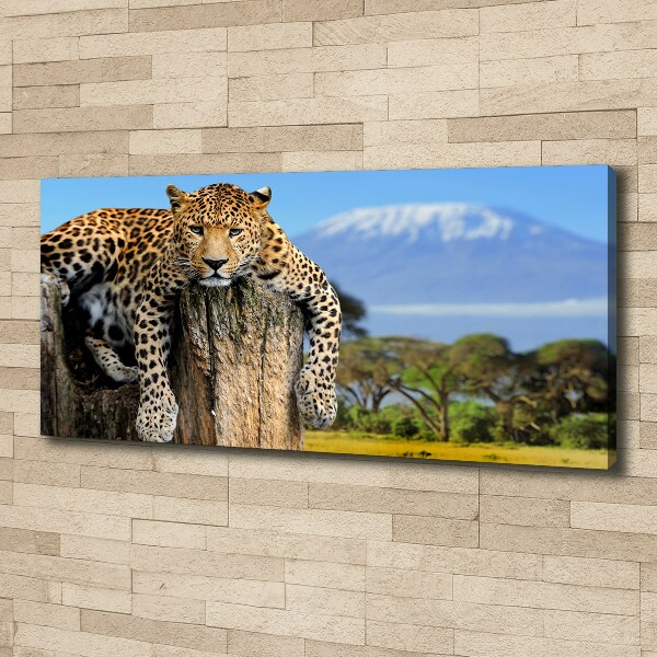 Cuadro canvas con impresión uv duradera horizontal Leopardo en un tocón de árbol