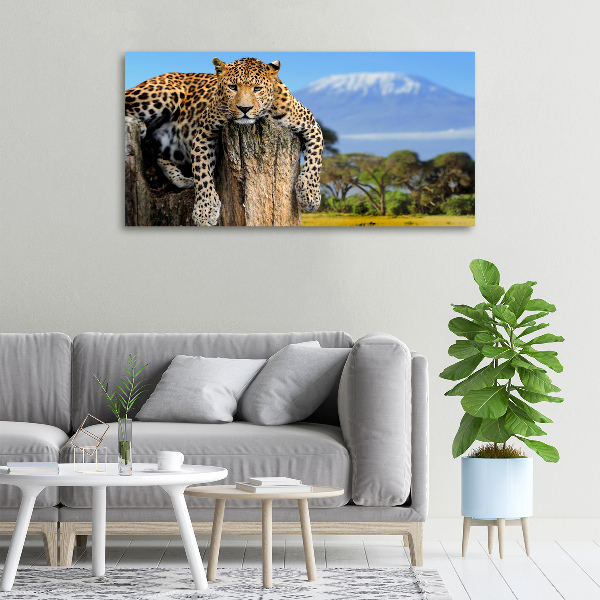 Cuadro canvas con impresión uv duradera horizontal Leopardo en un tocón de árbol