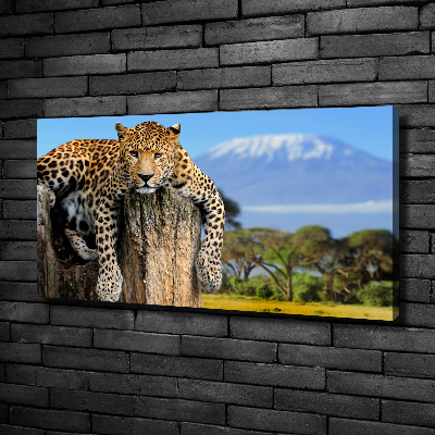 Cuadro canvas con impresión uv duradera horizontal Leopardo en un tocón de árbol