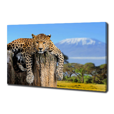 Cuadro canvas con impresión uv duradera horizontal Leopardo en un tocón de árbol