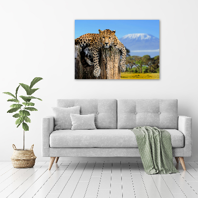 Cuadro canvas con impresión uv duradera horizontal Leopardo en un tocón de árbol