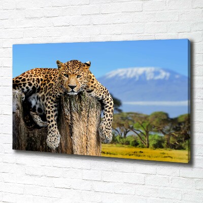 Cuadro canvas con impresión uv duradera horizontal Leopardo en un tocón de árbol