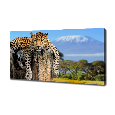 Cuadro canvas con impresión uv duradera horizontal Leopardo en un tocón de árbol