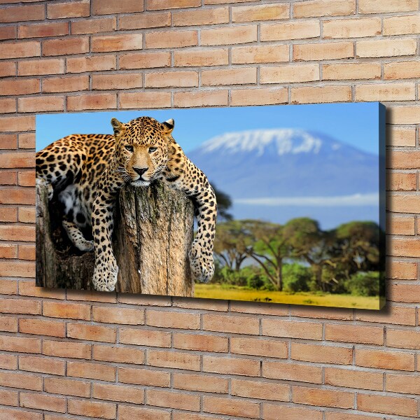 Cuadro canvas con impresión uv duradera horizontal Leopardo en un tocón de árbol