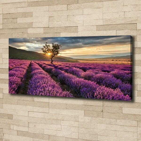 Cuadro canvas con impresión uv duradera horizontal campo de lavanda