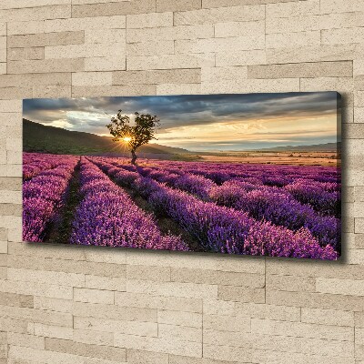 Cuadro canvas con impresión uv duradera horizontal campo de lavanda