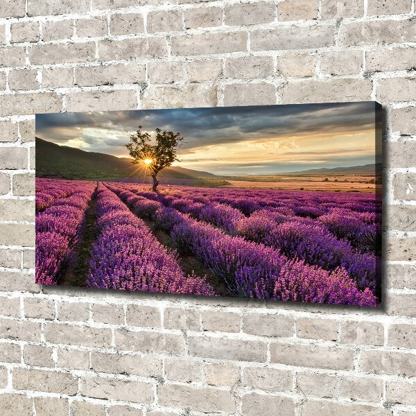 Cuadro canvas con impresión uv duradera horizontal campo de lavanda