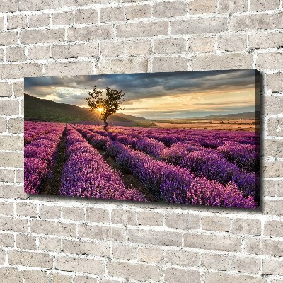 Cuadro canvas con impresión uv duradera horizontal campo de lavanda
