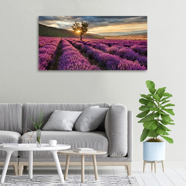 Cuadro canvas con impresión uv duradera horizontal campo de lavanda