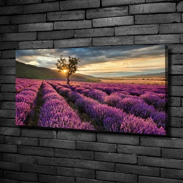 Cuadro canvas con impresión uv duradera horizontal campo de lavanda