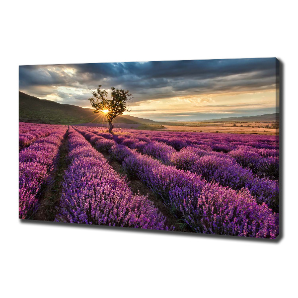 Cuadro canvas con impresión uv duradera horizontal campo de lavanda