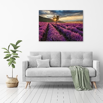 Cuadro canvas con impresión uv duradera horizontal campo de lavanda