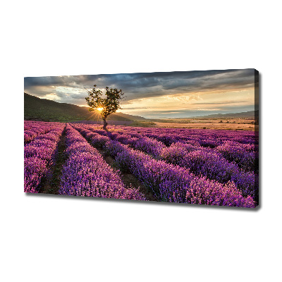 Cuadro canvas con impresión uv duradera horizontal campo de lavanda