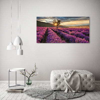 Cuadro canvas con impresión uv duradera horizontal campo de lavanda