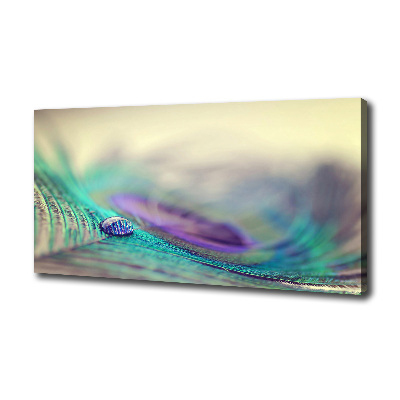 Cuadro canvas con impresión uv duradera horizontal Una gota sobre una pluma