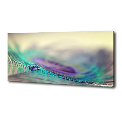 Cuadro canvas con impresión uv duradera horizontal Una gota sobre una pluma