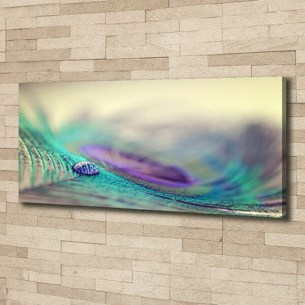 Cuadro canvas con impresión uv duradera horizontal Una gota sobre una pluma