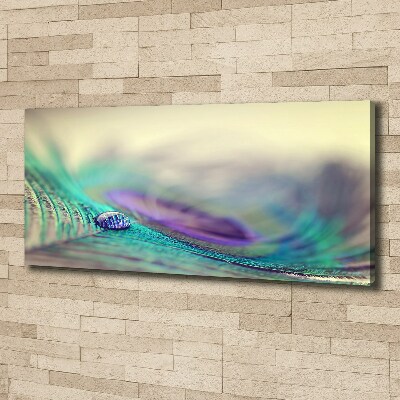 Cuadro canvas con impresión uv duradera horizontal Una gota sobre una pluma