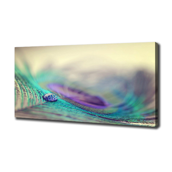 Cuadro canvas con impresión uv duradera horizontal Una gota sobre una pluma