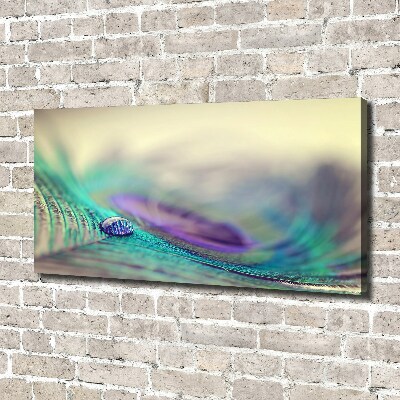 Cuadro canvas con impresión uv duradera horizontal Una gota sobre una pluma