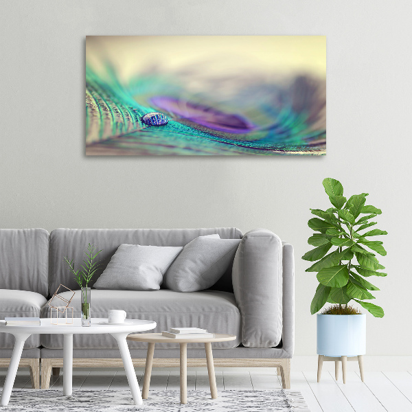 Cuadro canvas con impresión uv duradera horizontal Una gota sobre una pluma