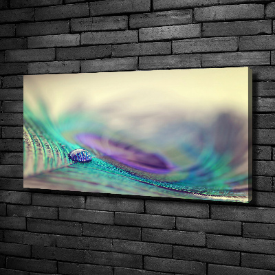 Cuadro canvas con impresión uv duradera horizontal Una gota sobre una pluma