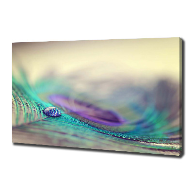 Cuadro canvas con impresión uv duradera horizontal Una gota sobre una pluma
