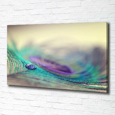 Cuadro canvas con impresión uv duradera horizontal Una gota sobre una pluma