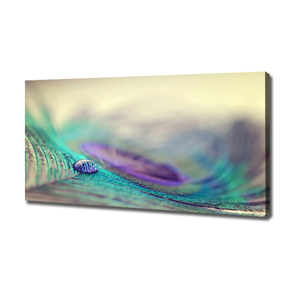 Cuadro canvas con impresión uv duradera horizontal Una gota sobre una pluma