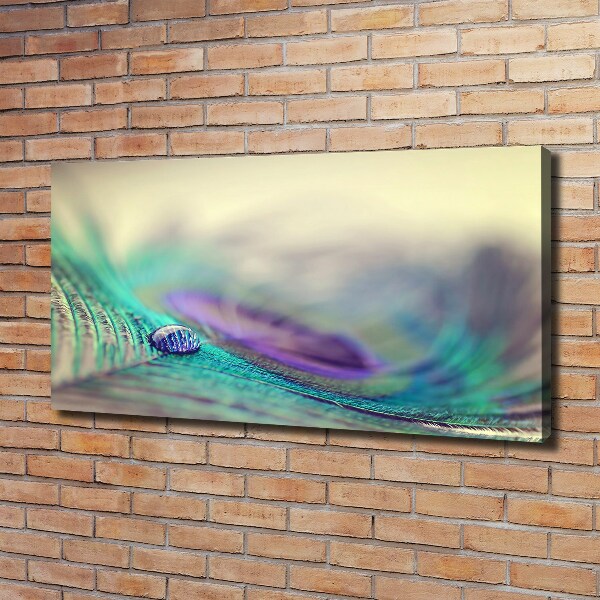 Cuadro canvas con impresión uv duradera horizontal Una gota sobre una pluma