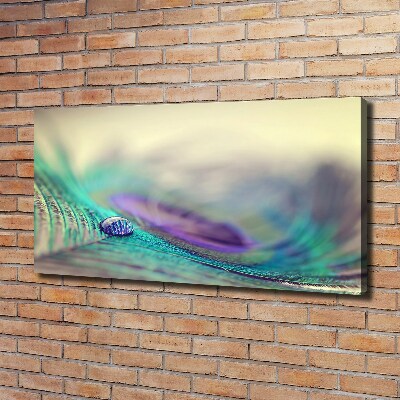 Cuadro canvas con impresión uv duradera horizontal Una gota sobre una pluma