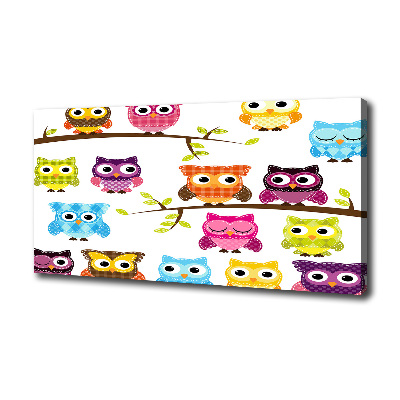 Foto en lienzo con acabado profesional horizontal Búhos coloridos