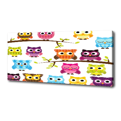 Foto en lienzo con acabado profesional horizontal Búhos coloridos