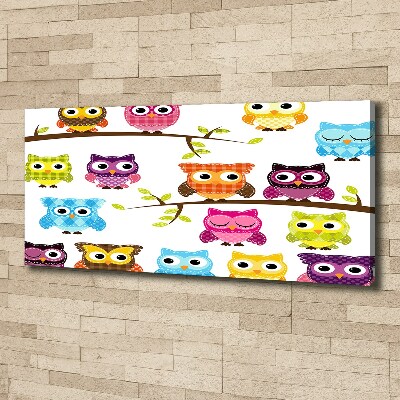 Foto en lienzo con acabado profesional horizontal Búhos coloridos