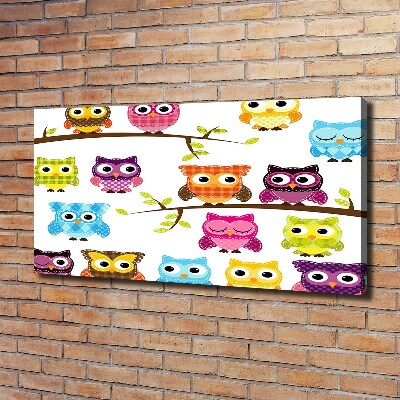 Foto en lienzo con acabado profesional horizontal Búhos coloridos
