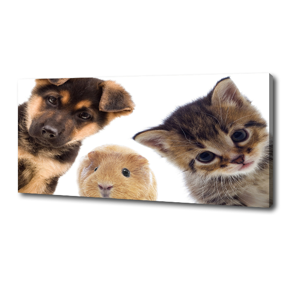 Cuadro canvas moderno de gran formato horizontal Mascotas