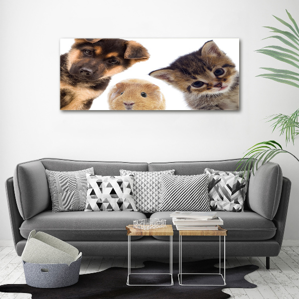 Cuadro canvas moderno de gran formato horizontal Mascotas