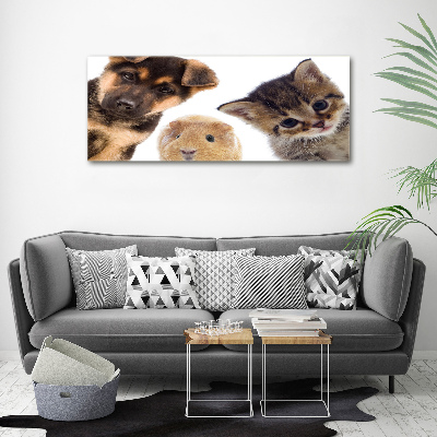 Cuadro canvas moderno de gran formato horizontal Mascotas