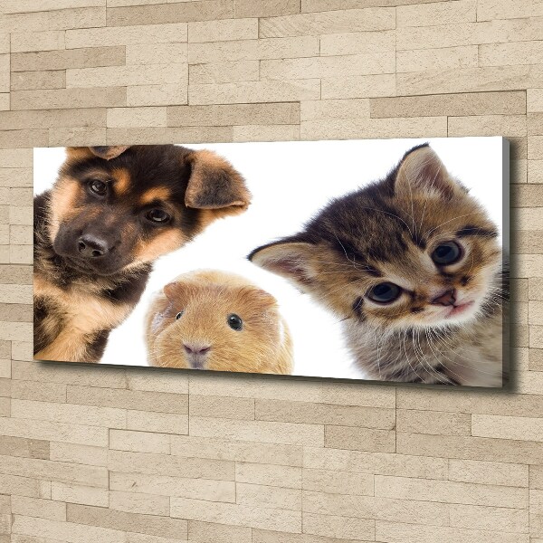 Cuadro canvas moderno de gran formato horizontal Mascotas