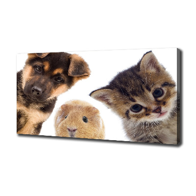 Cuadro canvas moderno de gran formato horizontal Mascotas